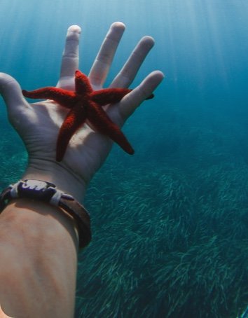 A snorkeler in the ocean, captured with DJI Osmo Action