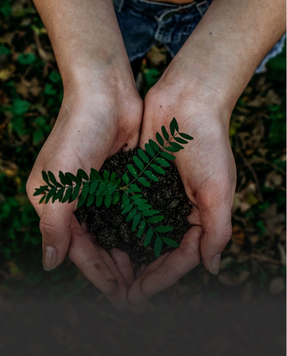 A link to the blog post, on how we are contributing to the environmental education movement. hidden